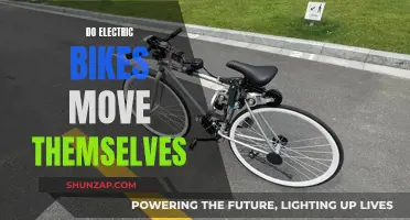 Electric Bikes: Self-Moving or Human-Powered?