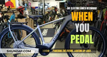 Pedaling Electric Bikes: Recharging On-the-Go?