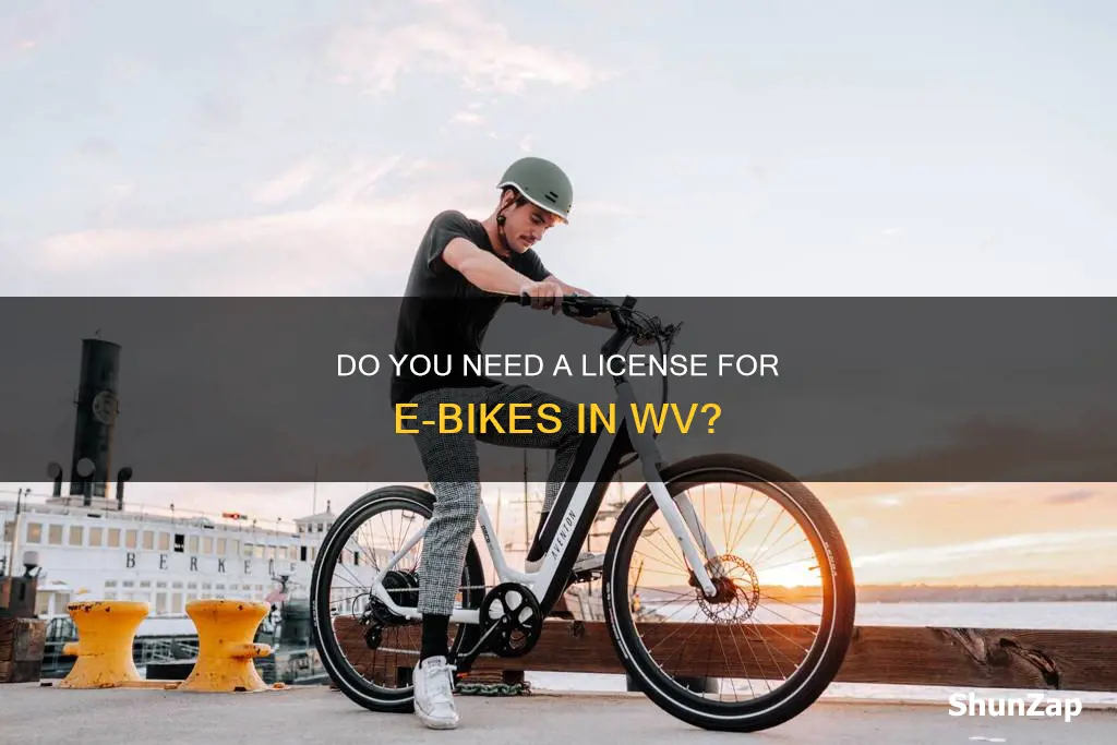 do electric bikes require a driver