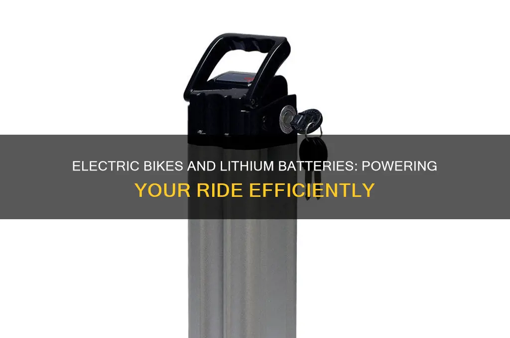 do electric bikes use lithium batteries