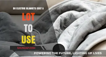 Electric Blankets: Are They an Affordable Winter Heating Solution?