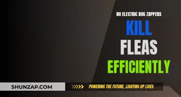 Bug Zapper's Flea-Killing Efficiency: Worth the Hype?