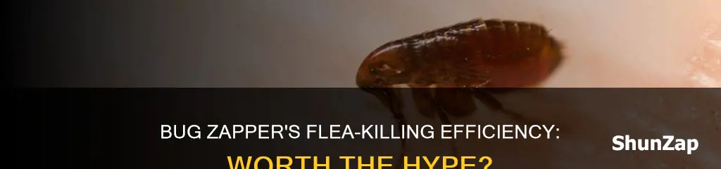 do electric bug zappers kill fleas efficiently