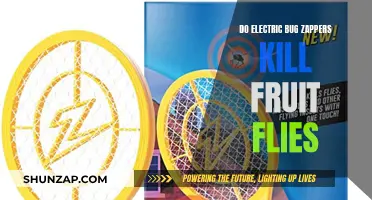 Bug Zapper vs Fruit Flies: Does It Work?