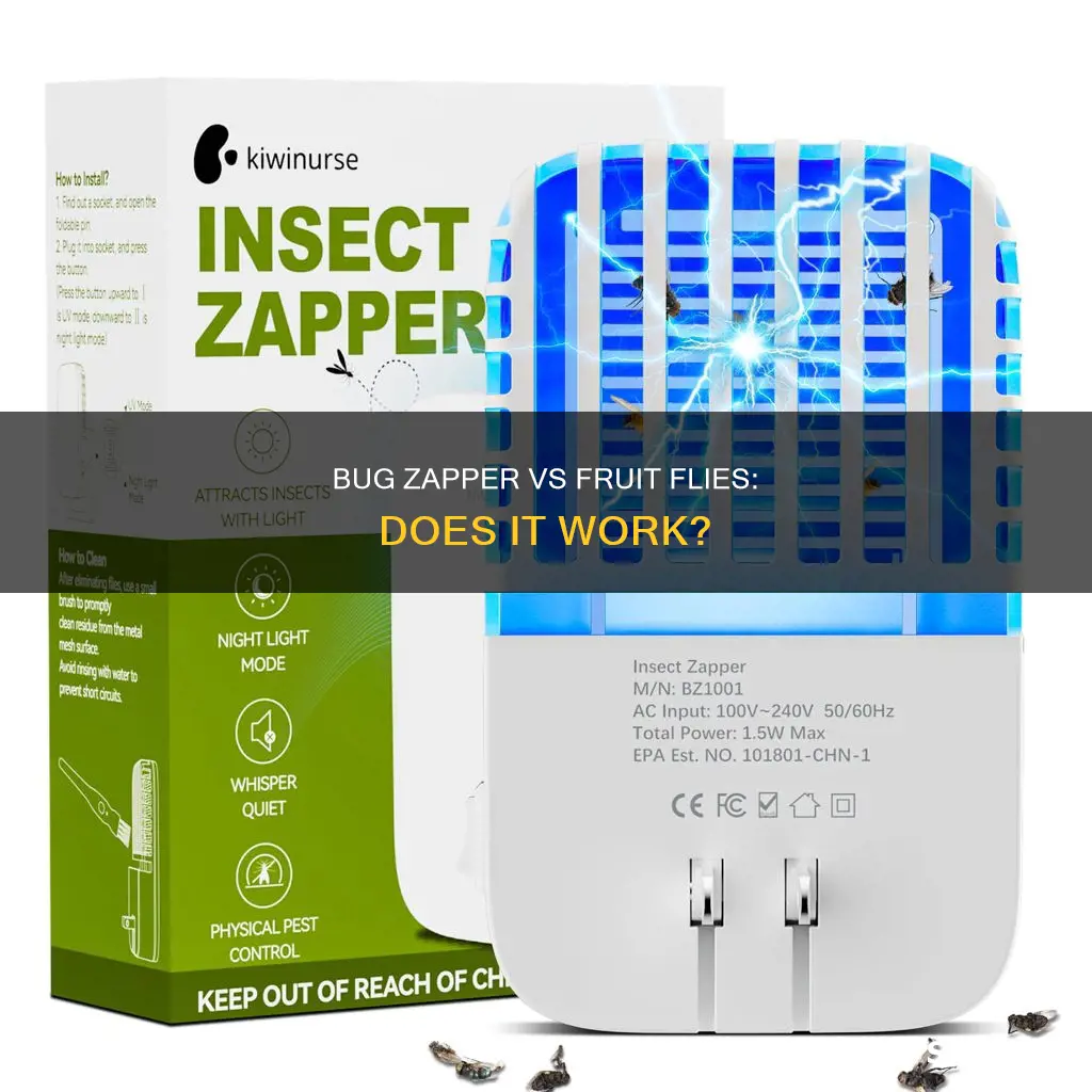 do electric bug zappers kill fruit flies