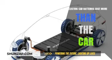Electric Car Batteries: Are They Pricier Than the Vehicle Itself?