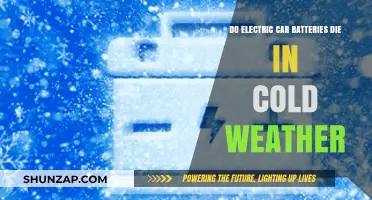 Cold Weather Impact: Do Electric Car Batteries Lose Power?