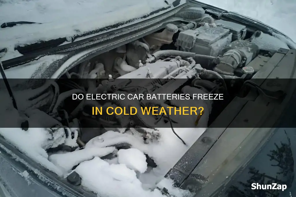 do electric car batteries freeze