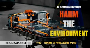 Electric Car Batteries: Environmental Impact and Sustainability Concerns