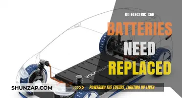 Electric Car Battery Lifespan: Replacement Necessity and Cost Insights