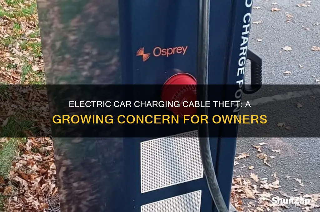 do electric car charging cables get stolen