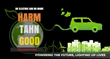 Electric Cars: Environmental Savior or Hidden Harmful Impact?