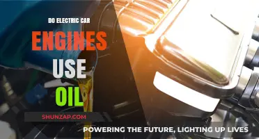 Electric Car Engines and Oil: Do They Really Mix?