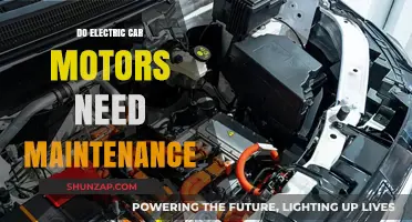 Electric Car Motors: Maintenance Myths and Essential Care Tips