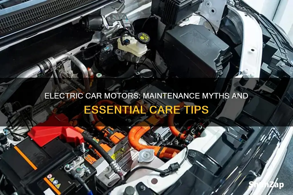 do electric car motors need maintenance