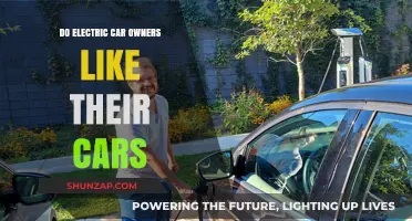 Electric Car Ownership: Do Drivers Love Their Eco-Friendly Vehicles?