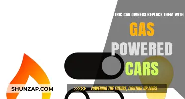 Electric to Gas: Are Owners Switching Back to Traditional Cars?