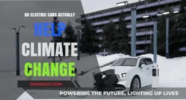 Electric Cars and Climate Change: Real Impact or Green Myth?