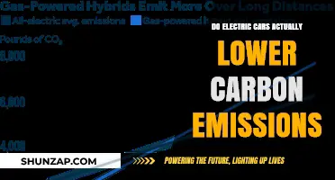 Electric Cars and Carbon Emissions: Fact-Checking the Environmental Impact