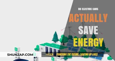 Electric Cars: Energy Savers or Just a Green Myth?
