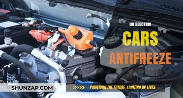 Electric Cars and Antifreeze: Do They Really Need It?