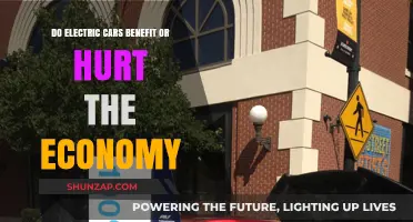 Electric Cars: Economic Boon or Burden for the Future?