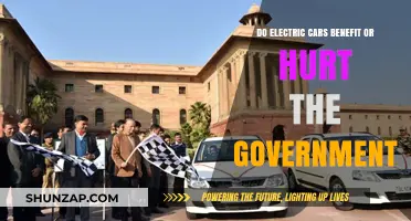 Electric Cars: Government Gain or Economic Strain?