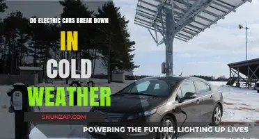Electric Cars in Winter: Do Cold Temperatures Cause Breakdowns?