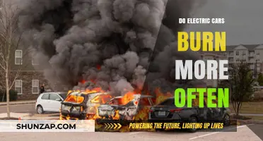Electric Cars and Fire Risks: Separating Fact from Fiction