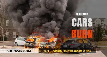 Do Electric Cars Burn? Debunking Myths About EV Safety