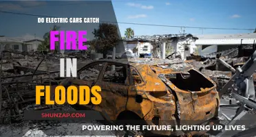 Electric Cars and Floods: Fire Risks Explained