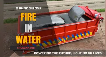 Electric Cars and Water: Fire Risk Explained and Debunked