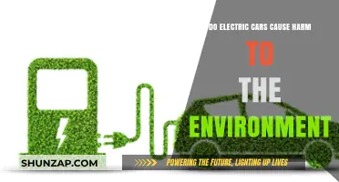 Electric Cars and Environmental Impact: Uncovering the Hidden Truth