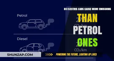Electric vs. Petrol: Uncovering the Truth About Emissions and Efficiency
