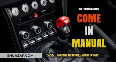Electric Cars and Manual Transmissions: Unraveling the Gear Shift Myth