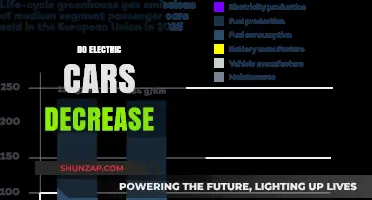Do Electric Cars Decrease Emissions and Fuel Costs Effectively?