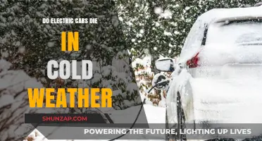 Do Electric Cars Struggle in Cold Weather? The Truth Revealed