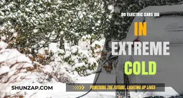 Electric Cars in Extreme Cold: Performance, Challenges, and Solutions