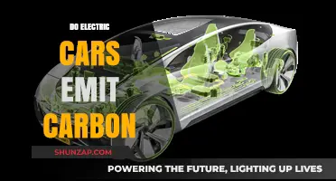 Electric Cars and Carbon Emissions: Separating Fact from Fiction