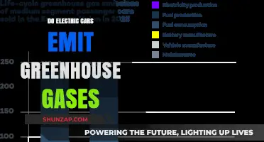Electric Cars and Greenhouse Gases: Unraveling the Environmental Impact