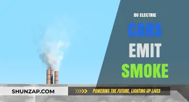 Electric Cars and Smoke: Debunking Emissions Myths in Green Transportation