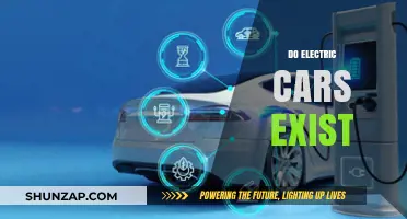 Exploring the Reality: Do Electric Cars Exist and How They Work?