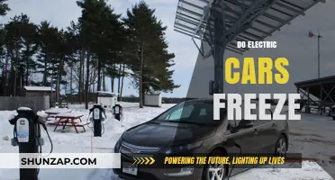 Do Electric Cars Freeze in Winter? Debunking Cold Weather Myths