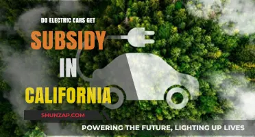 California Electric Car Subsidies: What Buyers Need to Know