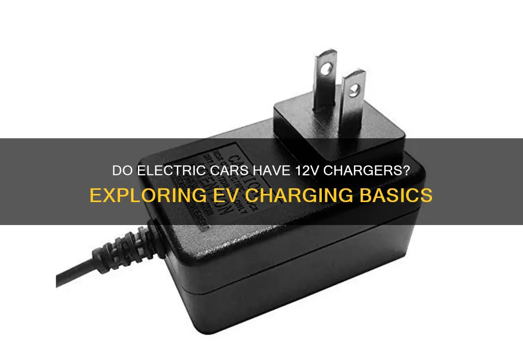 do electric cars have 12v charger