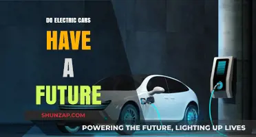 Electric Cars: The Future of Sustainable Transportation?