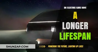 Electric Cars vs. Gasoline: Which Lasts Longer on the Road?