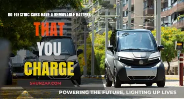 Can You Remove and Charge Electric Car Batteries? Explained