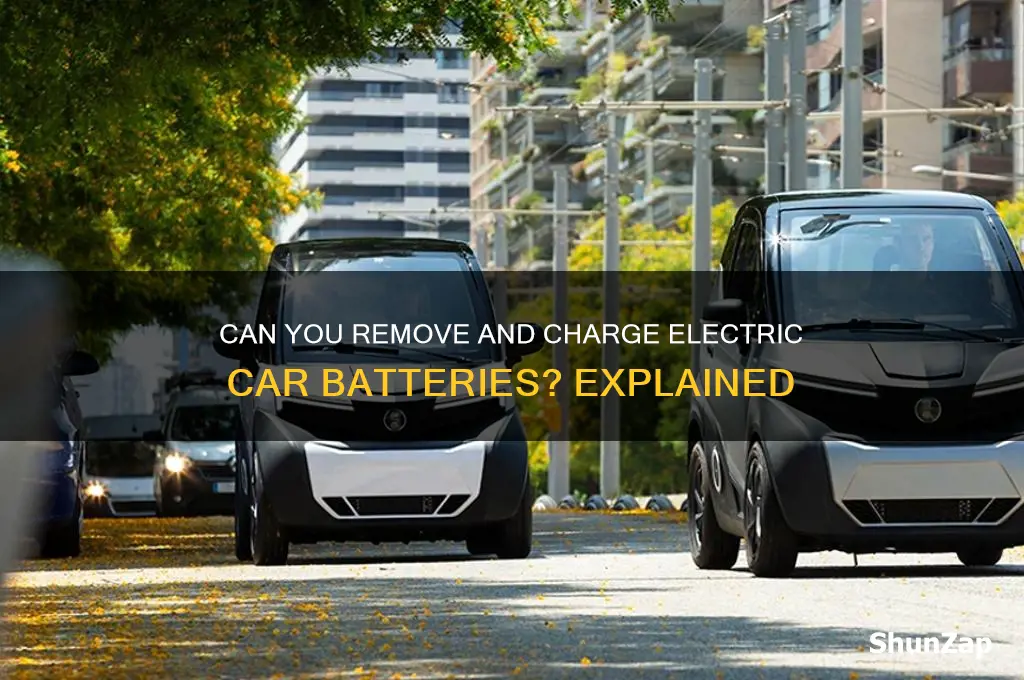 do electric cars have a removable battery that you charge