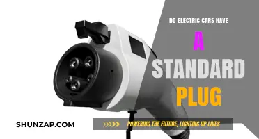 Electric Car Charging: Do All Models Use a Standard Plug?